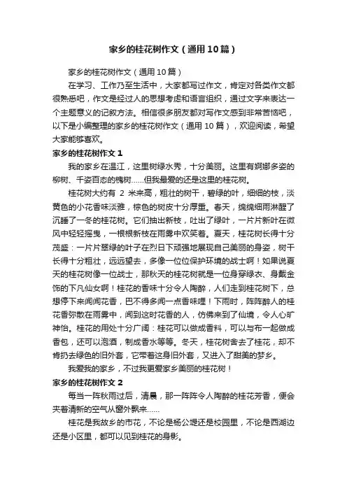 家乡的桂花树作文（通用10篇）