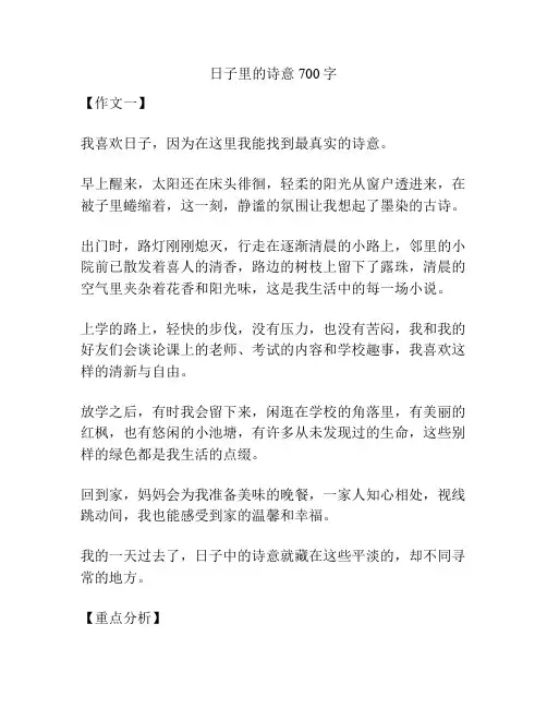 日子里的诗意700字