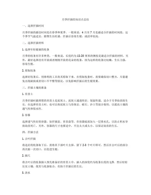 月季扦插的知识点总结