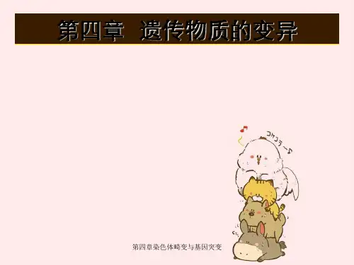 第四章染色体畸变与基因突变