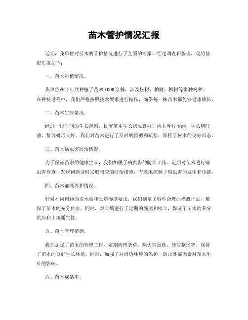苗木管护情况汇报