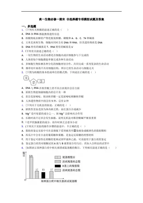 高一生物必修一期末 非选择题专项模拟试题及答案