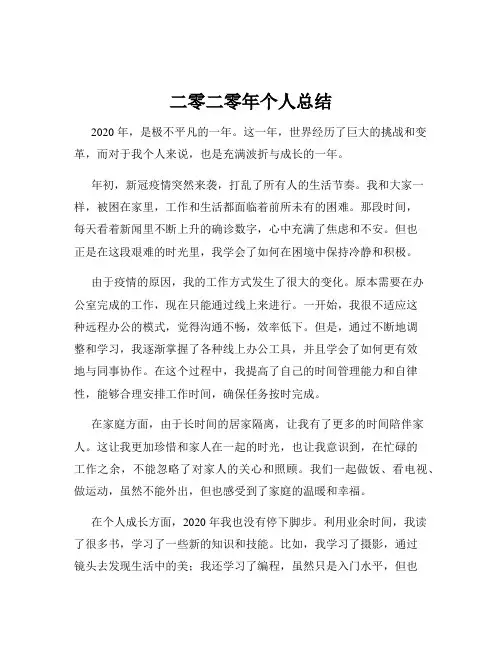 二零二零年个人总结