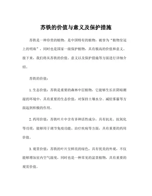 苏铁的价值与意义及保护措施