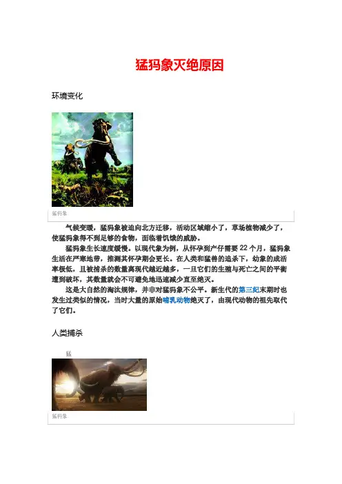 猛犸象灭绝原因