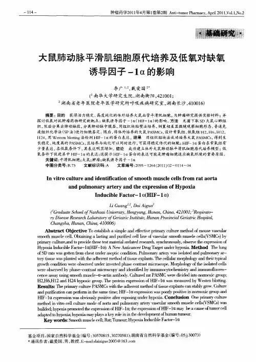 大鼠肺动脉平滑肌细胞原代培养及低氧对缺氧诱导因子-1α的影响
