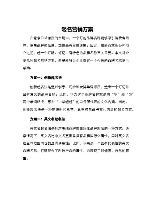 起名营销方案
