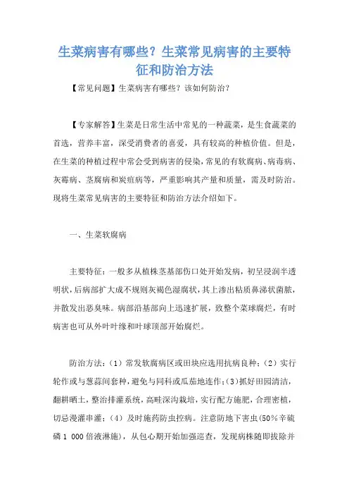 生菜病害有哪些？生菜常见病害的主要特征和防治方法
