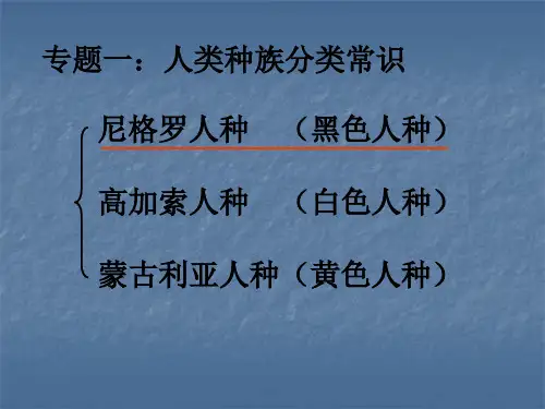 人类种族