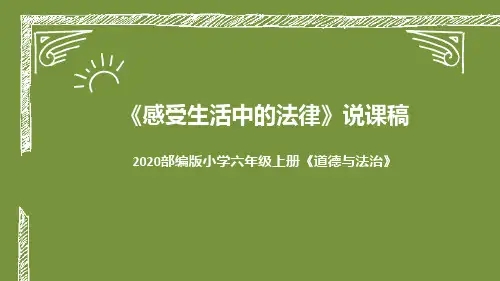 人教部编版道德与法治《感受生活中的法律》ppt课件1