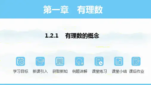 人教版(2024)七年级上册1.2.1有理数的概念  课件(共17张PPT)