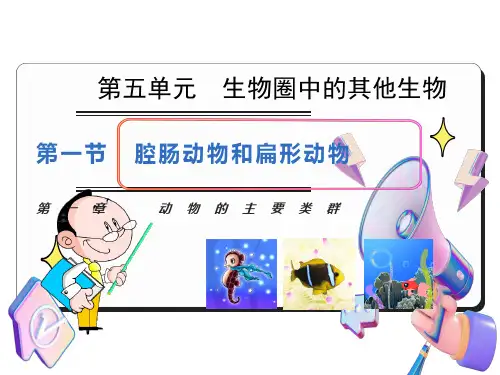 腔肠动物和扁形动物