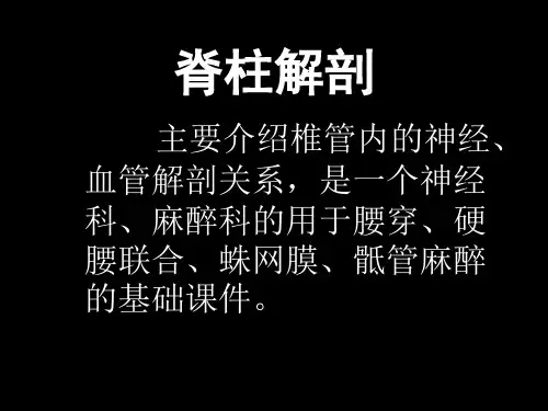 椎管解剖-腰麻、骶管麻醉基础(内容详细)