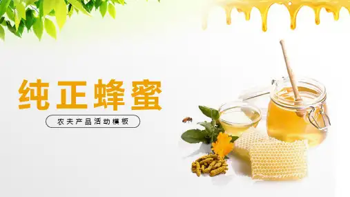 天然有机蜂蜜产品介绍PPT模板