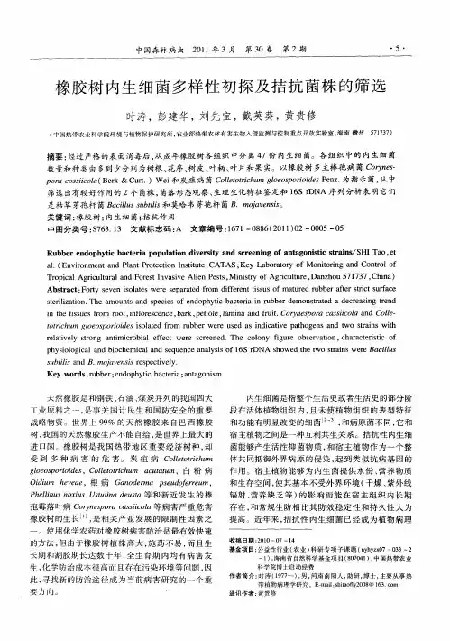 橡胶树内生细菌多样性初探及拮抗菌株的筛选