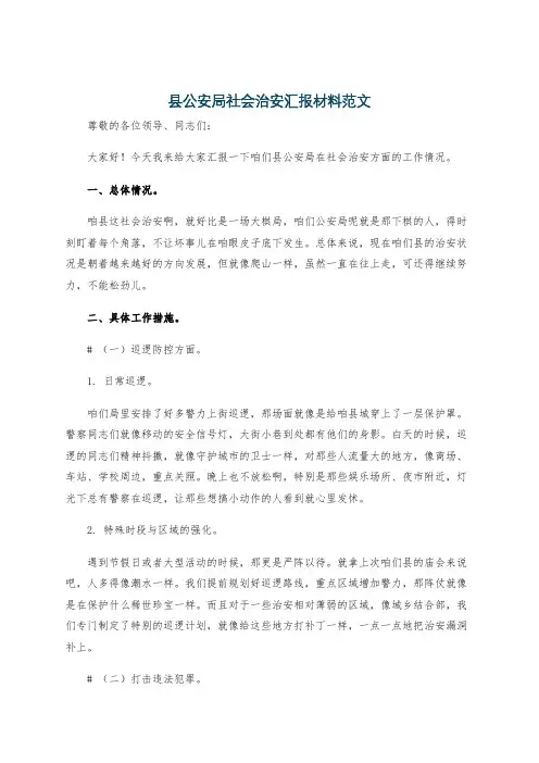 县公安局社会治安汇报材料范文