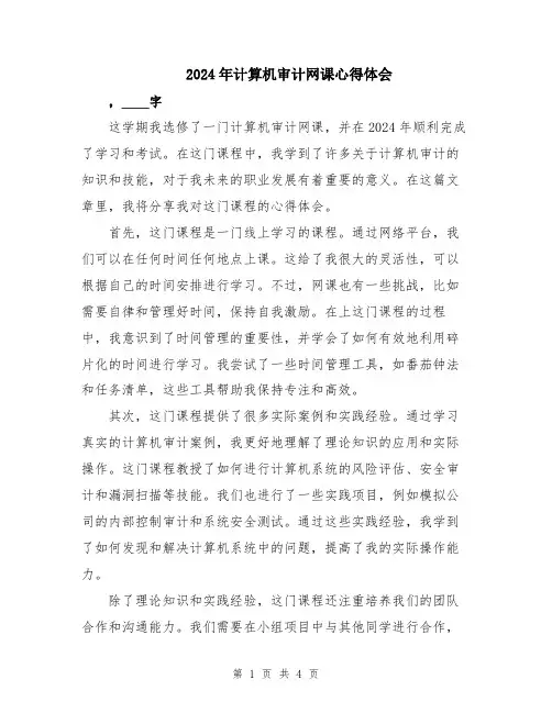 2024年计算机审计网课心得体会