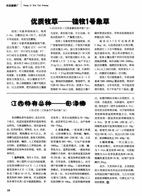江西特有品种——彭泽鲫