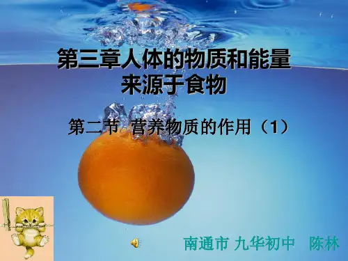 营养物质的作用-课件PPT精选课件