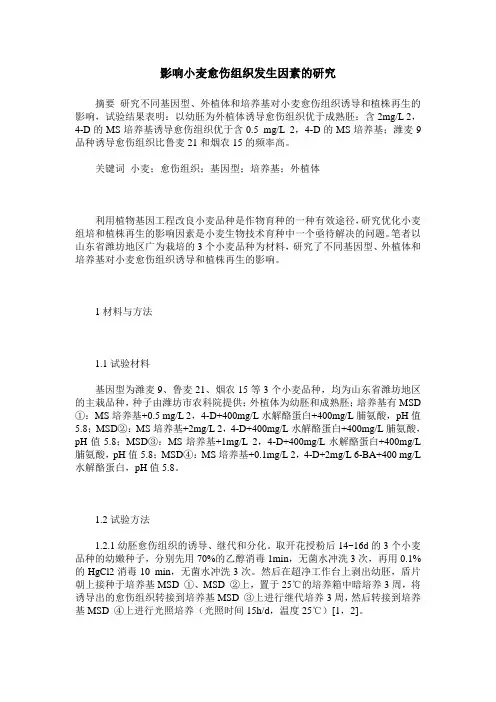 影响小麦愈伤组织发生因素的研究