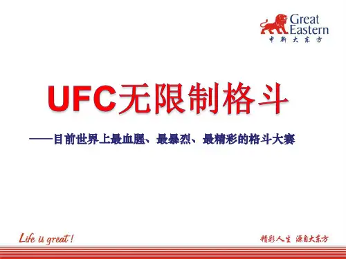 什么叫UFC？.ppt