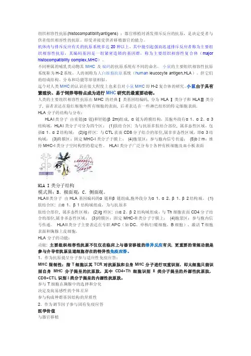 组织相容性抗原