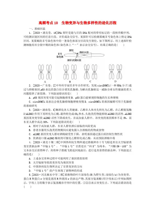 新教材2024届高考生物二轮专项分层特训卷第一部分完善生物学大概念__精练高频考点10生物变异与生物