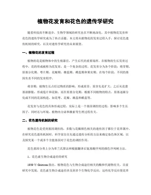 植物花发育和花色的遗传学研究