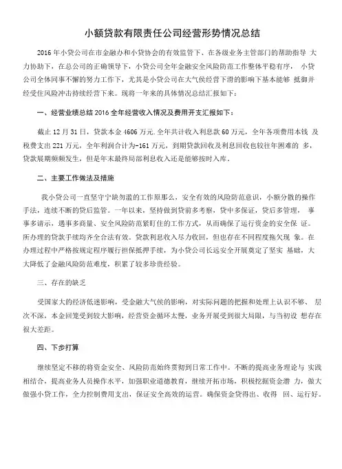 小额贷款有限责任公司经营形势情况总结