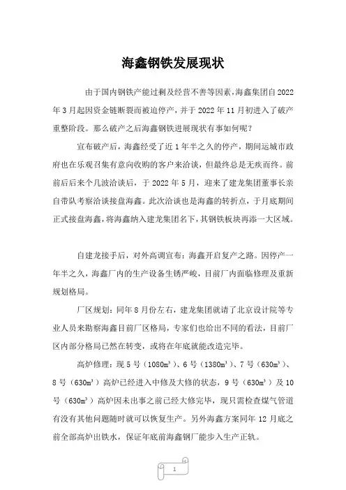 2023年海鑫钢铁发展现状