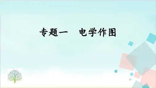 专题一(电学作图)人教版九年级物理全一册