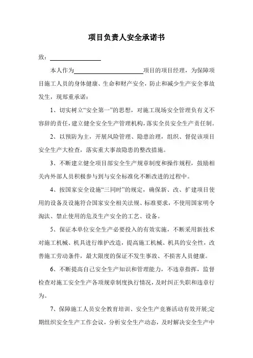 项目负责人安全承诺书