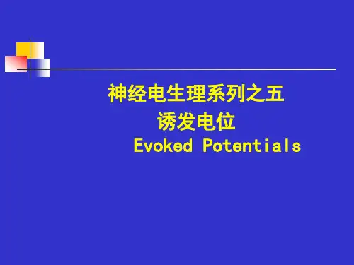 视觉诱发电位