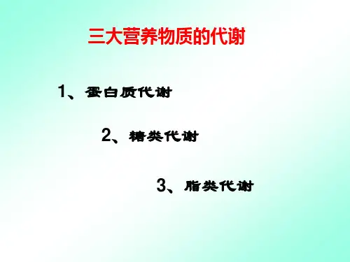 三大营养物质的代谢概况