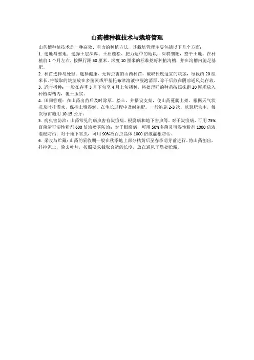 山药槽种植技术与栽培管理