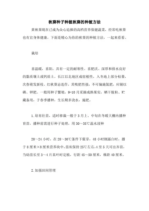 秋葵种子种植秋葵的种植方法