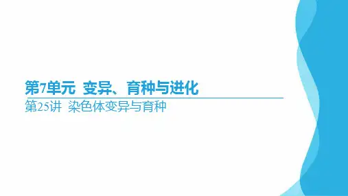 2024届高三生物一轮复习课件第25讲+染色体变异与育种