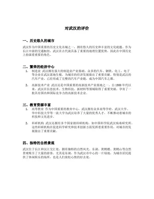 对武汉的评价