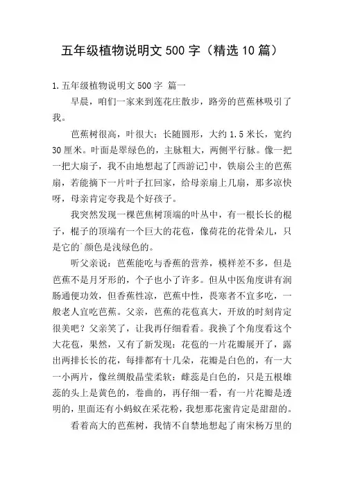 五年级植物说明文500字(精选10篇)