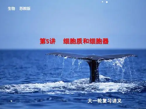 2014届高考(苏教版)生物大一轮课件：第5讲 细胞质和细胞器 (共114张PPT)