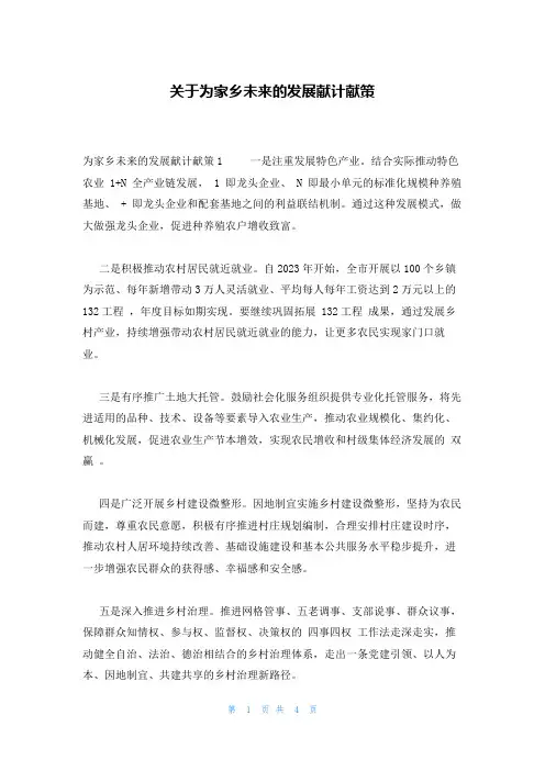 关于为家乡未来的发展献计献策