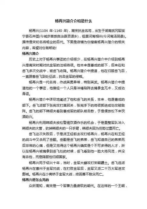 杨再兴简介介绍是什么