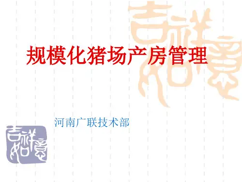 规模化猪场产房的管理