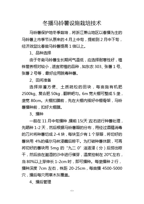 冬播马铃薯设施栽培技术