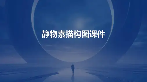静物素描构图课件