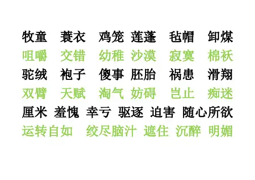 词语 Microsoft Word 文档