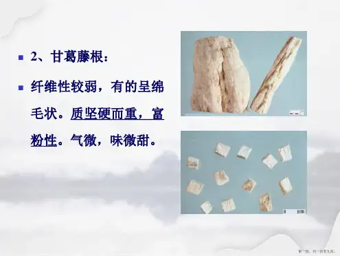 第五章-根及根茎类