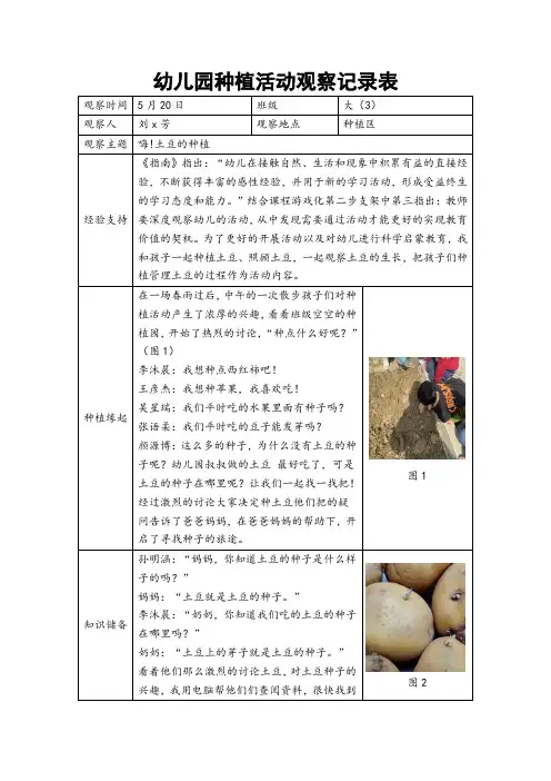 幼儿园种植活动观察记录表