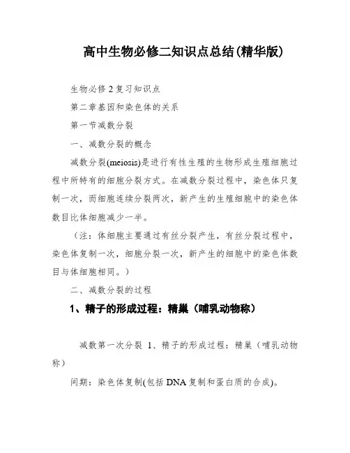 高中生物必修二知识点总结(精华版)