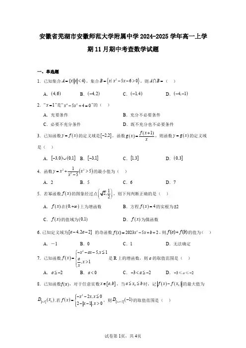 安徽省芜湖市安徽师范大学附属中学2024-2025学年高一上学期11月期中考查数学试题